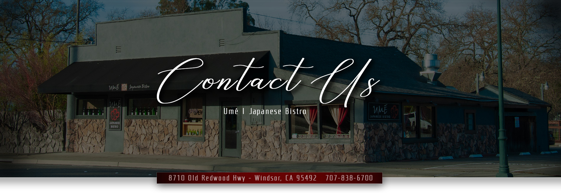 Contact Us